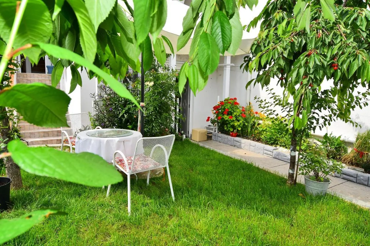 Apartments And Rooms Anika Zara Bed & Breakfast